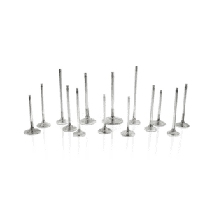 Ferrea - 5000 Series 29MM Exhaust Valves B Series B16a B18c