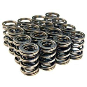 Blox Racing - Valve Spring Set - B-Series DOHC VTEC / Non-VTEC B-Series