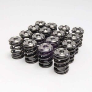 Skunk2 - Alpha Valve Spring & Ti Retainer Kit