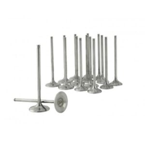 Skunk2 - Alpha Valves K Series & B/H/D VTEC