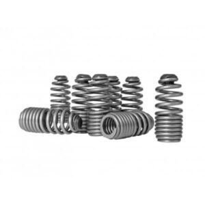 Skunk2 Lost Motion Assembly Spring Kit - B VTEC